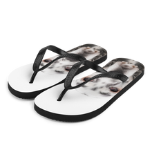 S English Setter Dog Flip-Flops by Design Express