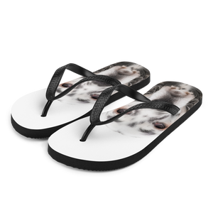 S English Setter Dog Flip-Flops by Design Express