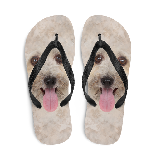 Bichon Havanese Dog Flip-Flops by Design Express