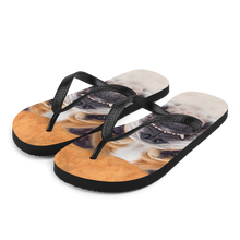 S Bulldog Flip-Flops by Design Express