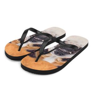 S Bulldog Flip-Flops by Design Express