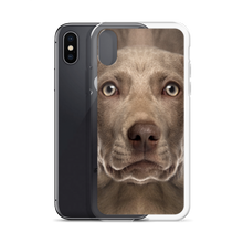 Weimaraner Dog iPhone Case by Design Express