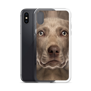 Weimaraner Dog iPhone Case by Design Express