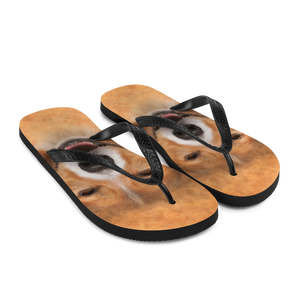 Border Collie Dog Flip-Flops by Design Express