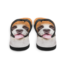 Saint Bernard Dog Flip-Flops by Design Express