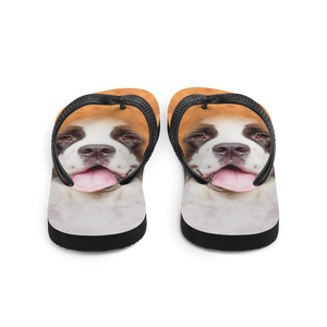 Saint Bernard Dog Flip-Flops by Design Express