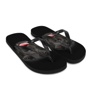 Labrador Dog Flip-Flops by Design Express