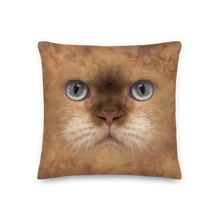 British Cat Premium Pillow by Design Express