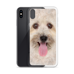 Bichon Havanese Dog iPhone Case by Design Express