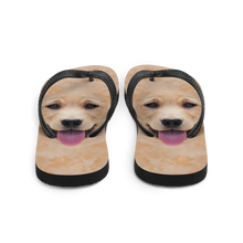 Yellow Labrador Dog Flip-Flops by Design Express