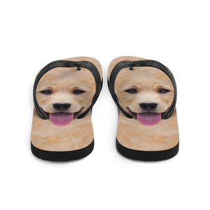 Yellow Labrador Dog Flip-Flops by Design Express