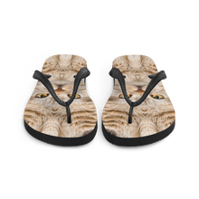 Scottish Fold Cat "Hazel" Flip-Flops by Design Express