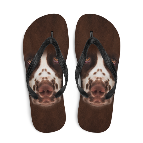 English Springer Spaniel Dog Flip-Flops by Design Express