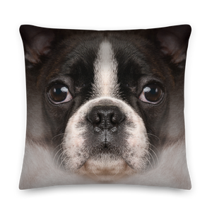 Boston Terrier Dog Premium Pillow by Design Express