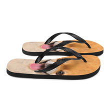 Pomeranian Dog Flip-Flops by Design Express