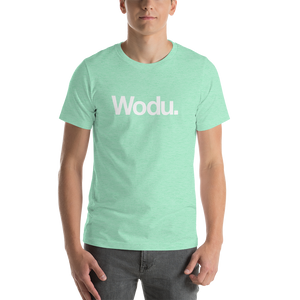 Heather Mint / S Wodu Media "Everything" Unisex T-Shirt by Design Express