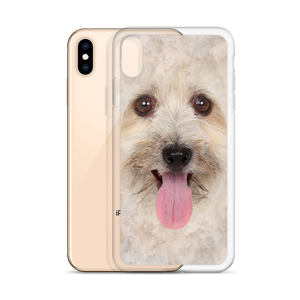 Bichon Havanese Dog iPhone Case by Design Express