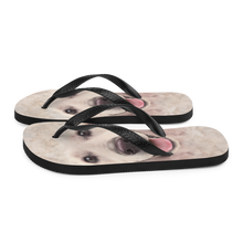 Golden Retriever Dog Flip-Flops by Design Express