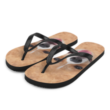 S Corgi Dog Flip-Flops by Design Express