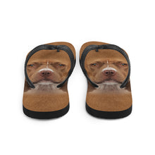 Staffordshire Bull Terrier Dog Flip-Flops by Design Express