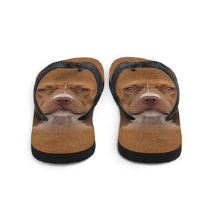 Staffordshire Bull Terrier Dog Flip-Flops by Design Express