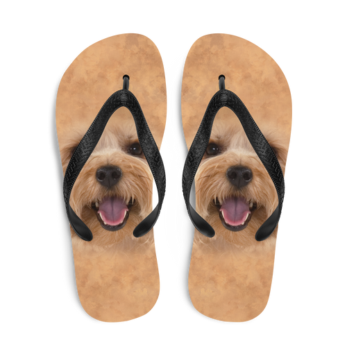 Yorkie Dog Flip-Flops by Design Express