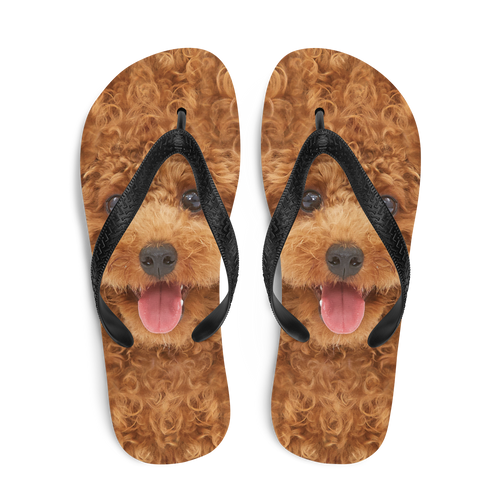 Poodle Dog Flip-Flops by Design Express