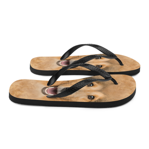 Shetland Sheepdog Flip-Flops by Design Express