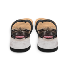 French Bulldog Flip-Flops by Design Express