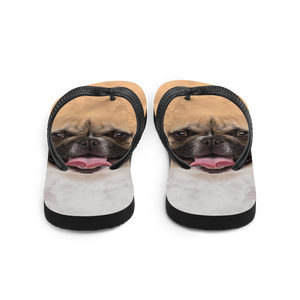 French Bulldog Flip-Flops by Design Express