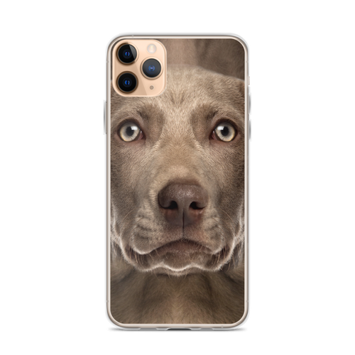 iPhone 11 Pro Max Weimaraner Dog iPhone Case by Design Express