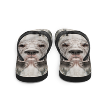 Great Dane Dog Flip-Flops by Design Express