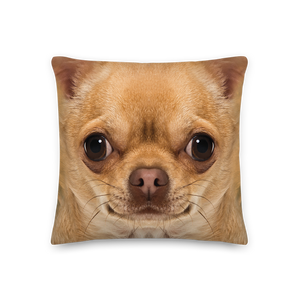 Chihuahua Dog Premium Pillow by Design Express