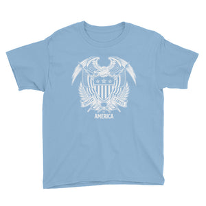 Light Blue / XS United States Of America Eagle Illustration Reverse Youth Short Sleeve T-Shirt by Design Express