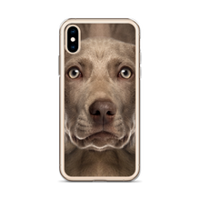 Weimaraner Dog iPhone Case by Design Express