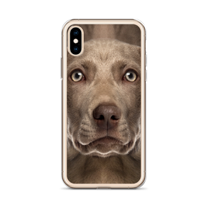 Weimaraner Dog iPhone Case by Design Express