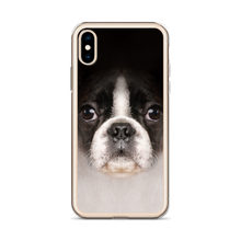 Boston Terrier Dog iPhone Case by Design Express