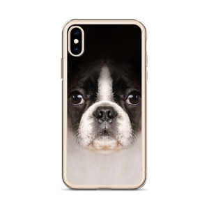 Boston Terrier Dog iPhone Case by Design Express