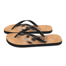 Yorkie Dog Flip-Flops by Design Express