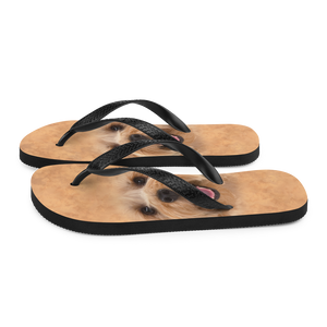 Yorkie Dog Flip-Flops by Design Express