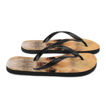 Chihuahua Dog Flip-Flops by Design Express