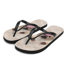 S Bichon Havanese Dog Flip-Flops by Design Express