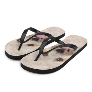 S Bichon Havanese Dog Flip-Flops by Design Express