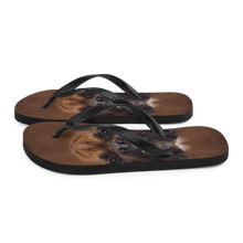 Boxer Dog Flip-Flops by Design Express