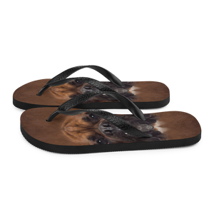 Boxer Dog Flip-Flops by Design Express