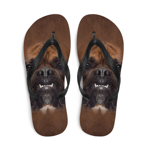 Boxer Dog Flip-Flops by Design Express