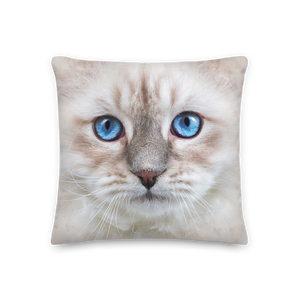 Siberian Kitten Premium Pillow by Design Express