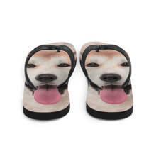 Akita Dog Flip-Flops by Design Express