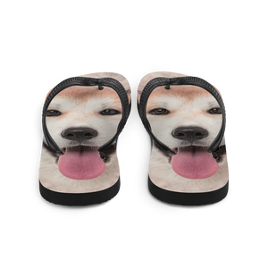 Akita Dog Flip-Flops by Design Express