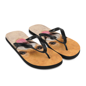 Pomeranian Dog Flip-Flops by Design Express